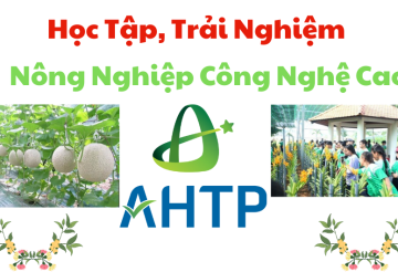 TOUR DIA DAO CU CHI - DEN BEN DUOC - KNN CONG NGHE CAO 1 NGAY