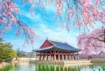BUSAN - DEAGU - SEOUL