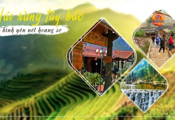 TOUR HÀ NỘI - SAPA - NINH BÌNH - HẠ LONG 5N4Đ 