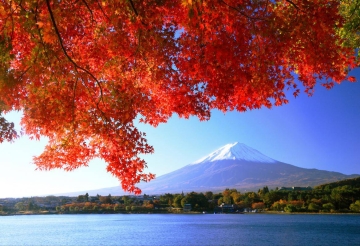 NHẬT BẢN MÙA THU [OSAKA - NARA - KYOTO - FUJI - TOKYO]