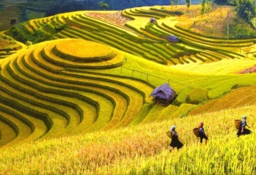 HÀ NỘI - HẠ LONG - SAPA - FANSIPAN
