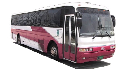  Xe Du lịch 45 chỗ