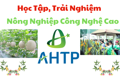 TOUR DIA DAO CU CHI - DEN BEN DUOC - KNN CONG NGHE CAO 1 NGAY