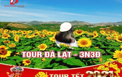 Đà Lạt : QUE GARDEN - ĐÀ LẠT VIEW - FAIRYTALE LAND – KHÁM PHÁ ĐỈNH NÚI LANGBIANG 