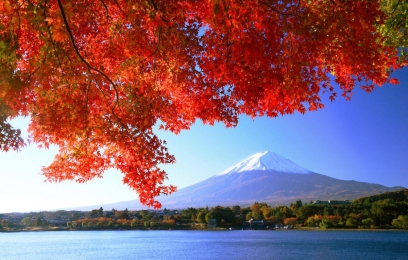 NHẬT BẢN MÙA THU [OSAKA - NARA - KYOTO - FUJI - TOKYO]