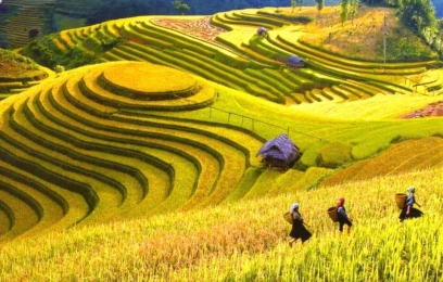 HÀ NỘI - HẠ LONG - SAPA - FANSIPAN
