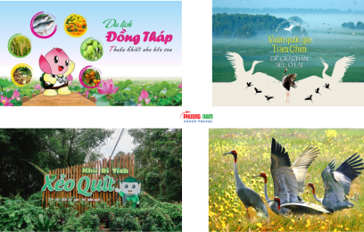 TOUR ĐỒNG THÁP - XẺO QUÝT - KDL TRÀM CHIM