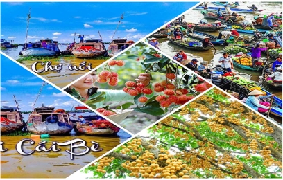 TOUR CÁI BÈ 01 NGÀY 