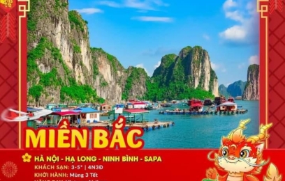 TOUR HÀ NỘI - HẠ LONG - NINH BÌNH - SAPA