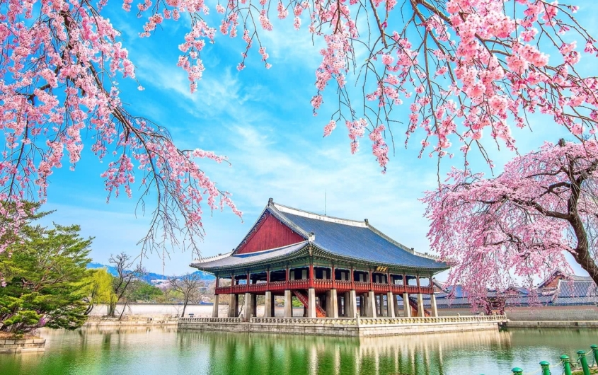 BUSAN - DEAGU - SEOUL