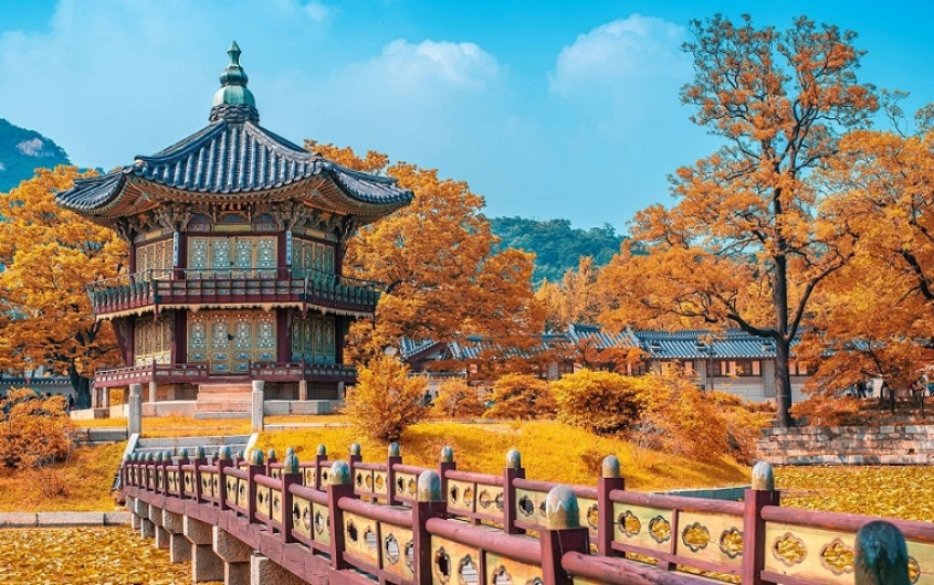 TOUR HÀN QUỐC (SEOUL - JEJU - EVERLAND - CHIÊM NGƯỠNG LỄ HỘI HOA GOYANG)
