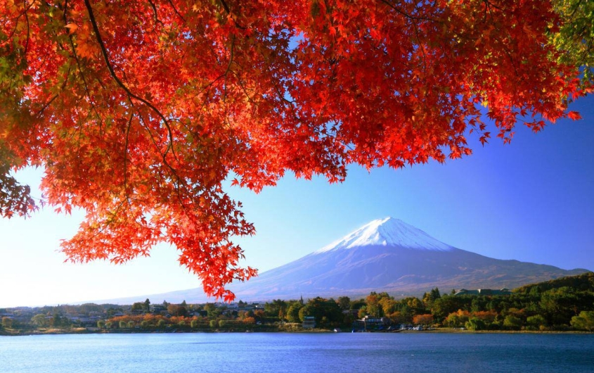 NHẬT BẢN MÙA THU [OSAKA - NARA - KYOTO - FUJI - TOKYO]