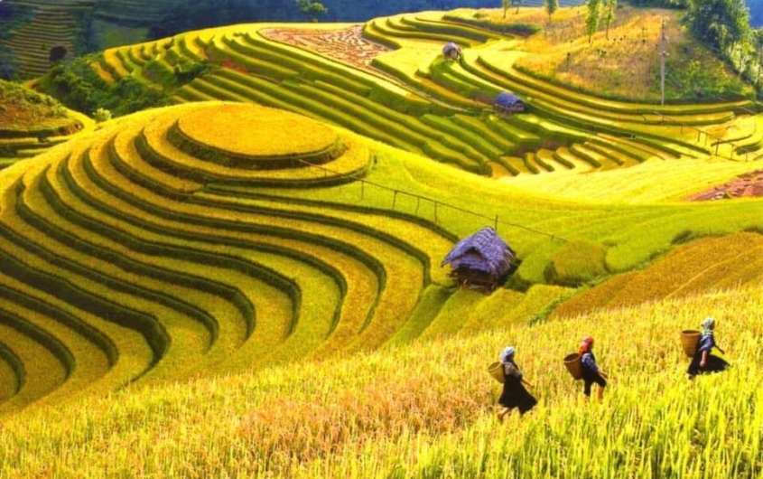 HÀ NỘI - HẠ LONG - SAPA - FANSIPAN