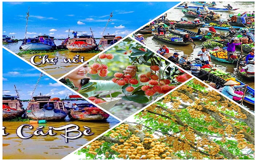 TOUR CÁI BÈ 01 NGÀY 
