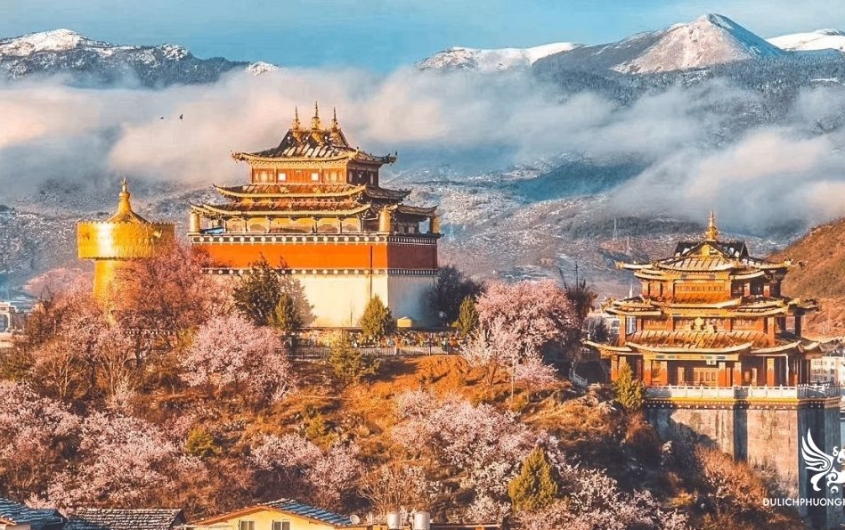 LỆ GIANG - ĐẠI LÝ